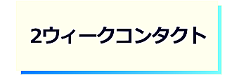 レンズタイプｰ２ウィークコンタクト