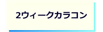 レンズタイプｰ２ウィークカラコン